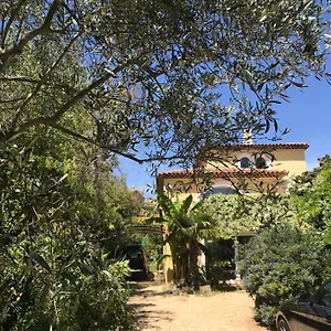Ecrin De Verdure Avec Accès Piscine En Plein Aix France